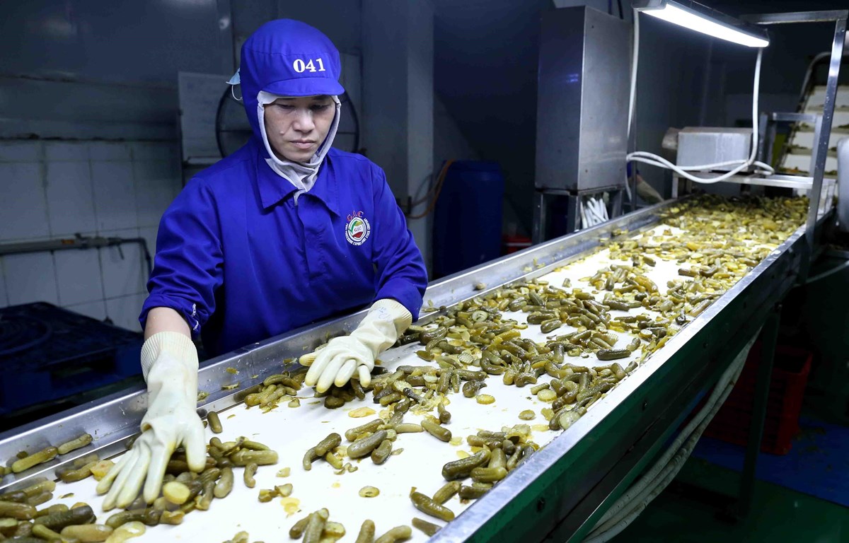 Le Vietnam et l Afrique du Sud renforcent leur commerce bilatéral